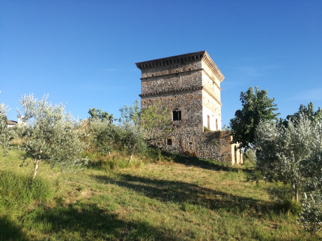 Torre del Gualdo vista 1